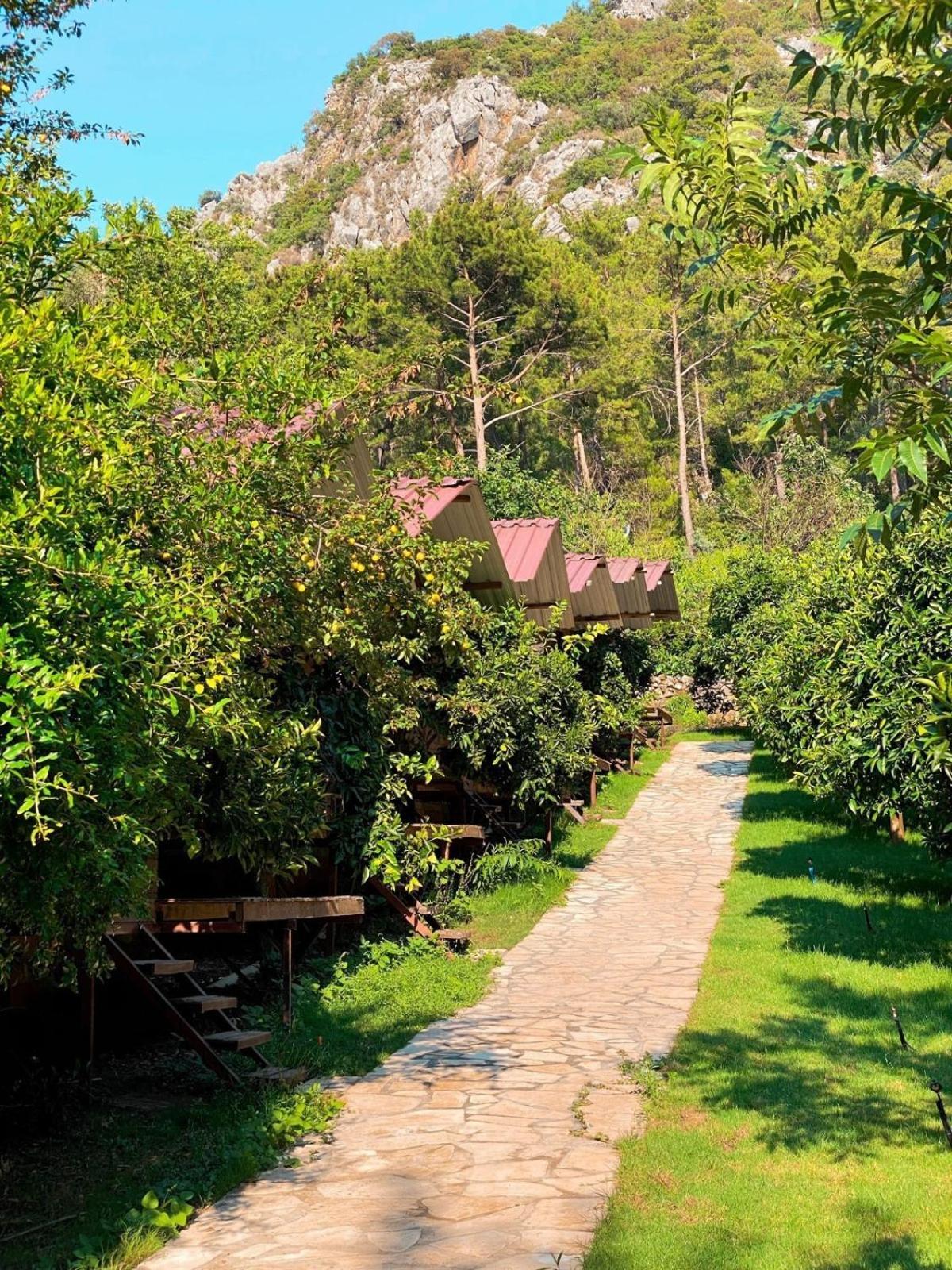 Olympos Camlik Pension Exterior foto
