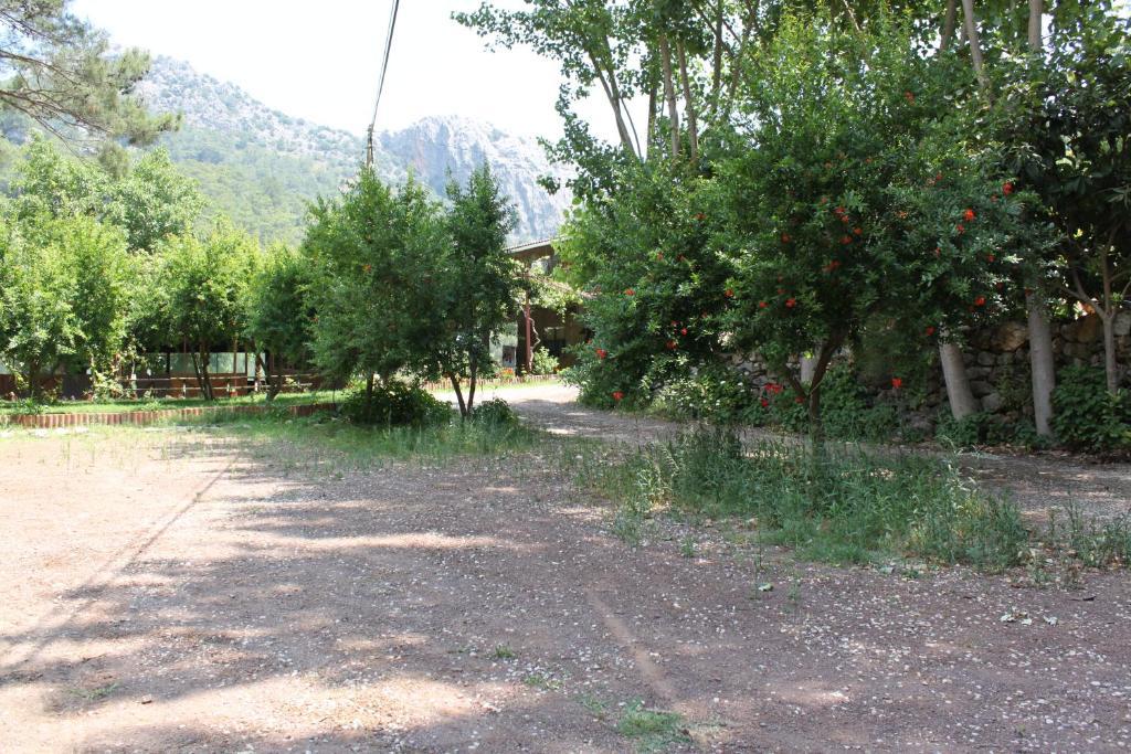 Olympos Camlik Pension Exterior foto