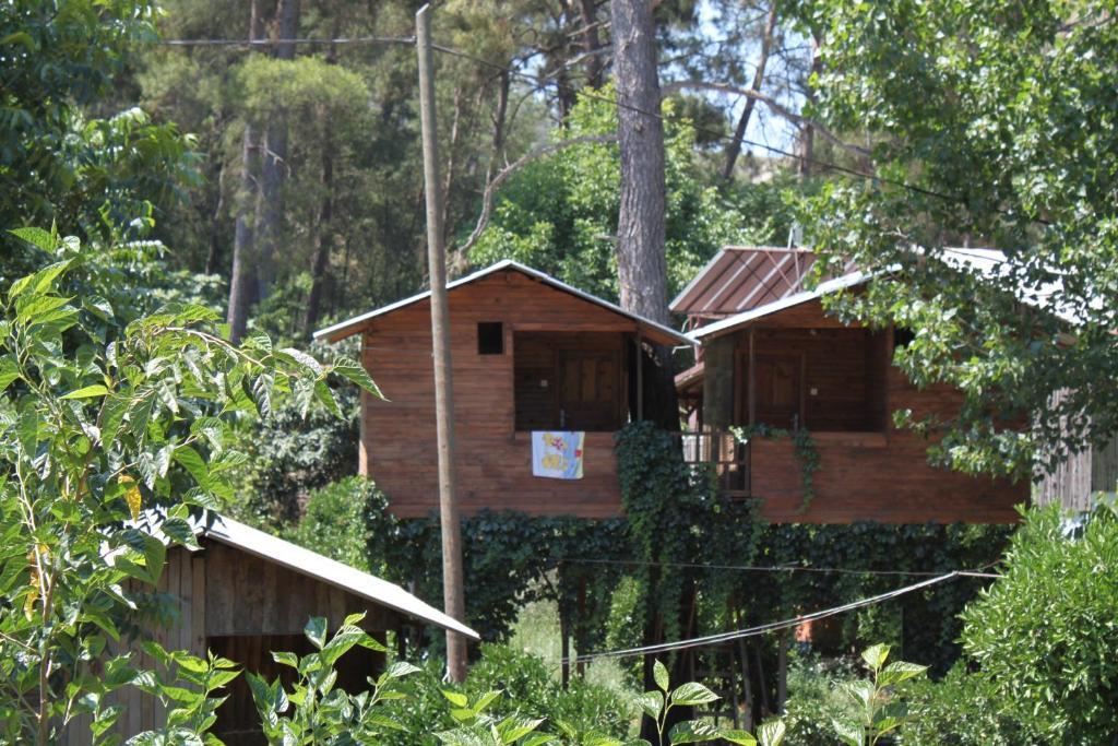 Olympos Camlik Pension Exterior foto