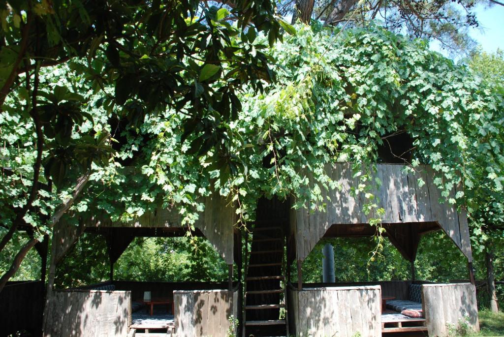 Olympos Camlik Pension Exterior foto