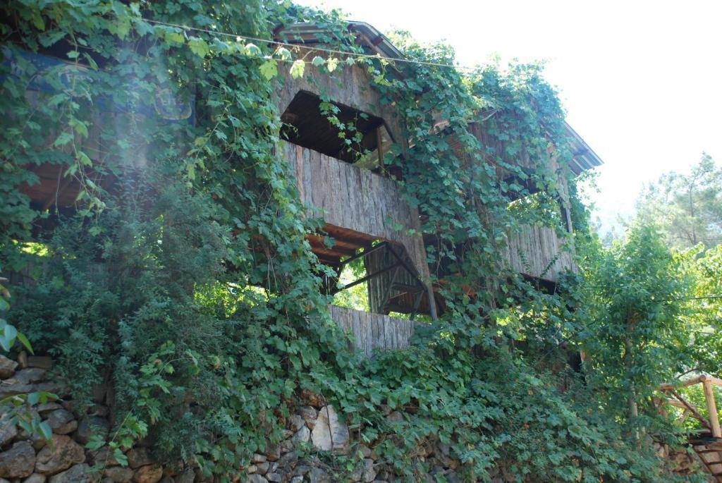 Olympos Camlik Pension Exterior foto
